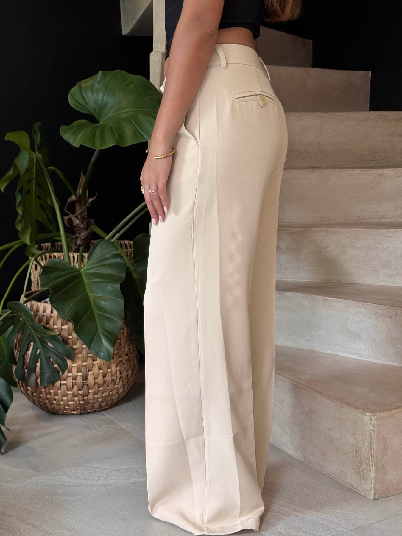 Pantalones de traje de cintura baja Britney - Beige